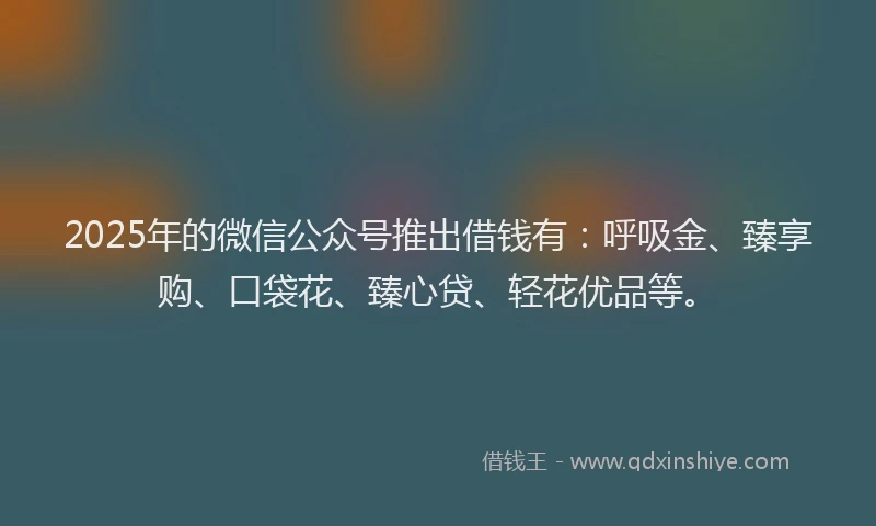 2025年的微信公众号推出借钱有：呼吸金、臻享购、口袋花、臻心贷、轻花优品等。