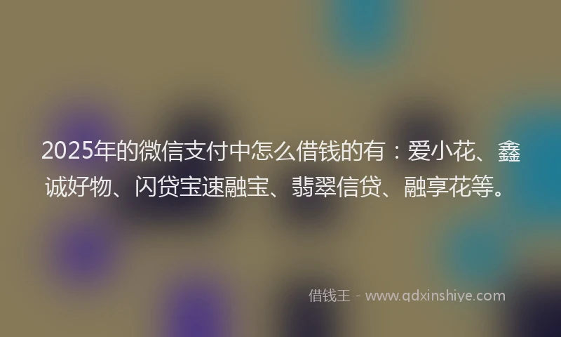 2025年的微信支付中怎么借钱的有：爱小花、鑫诚好物、闪贷宝速融宝、翡翠信贷、融享花等。