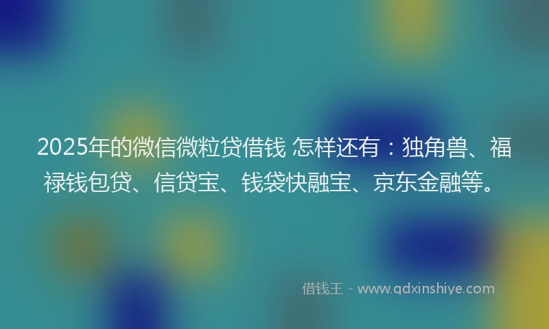 2025年的微信微粒贷借钱 怎样还有：独角兽、福禄钱包贷、信贷宝、钱袋快融宝、京东金融等。