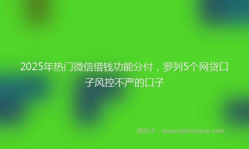 2025年热门微信借钱功能分付，罗列5个网贷口子风控不严的口子