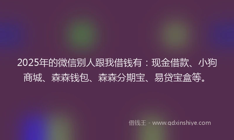 2025年的微信别人跟我借钱有：现金借款、小狗商城、森森钱包、森森分期宝、易贷宝盒等。