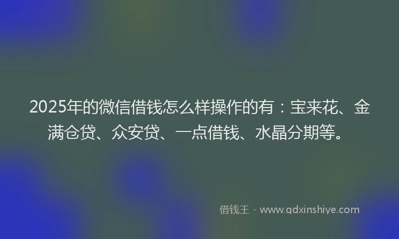 2025年的微信借钱怎么样操作的有：宝来花、金满仓贷、众安贷、一点借钱、水晶分期等。