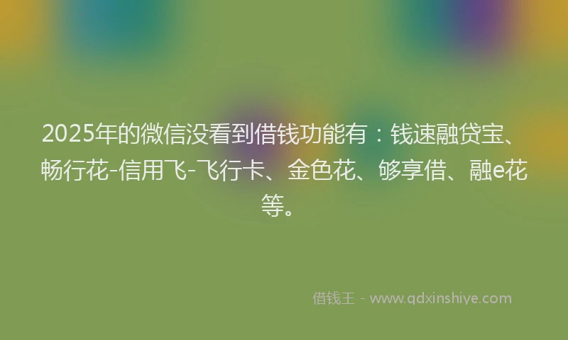 2025年的微信没看到借钱功能有：钱速融贷宝、畅行花-信用飞-飞行卡、金色花、够享借、融e花等。