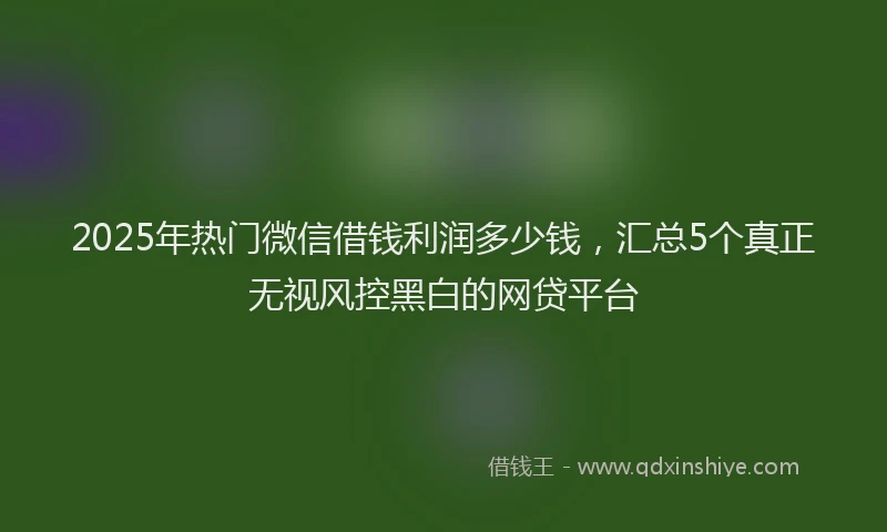 2025年热门微信借钱利润多少钱，汇总5个真正无视风控黑白的网贷平台