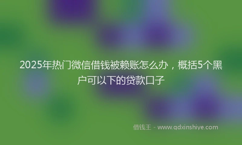 2025年热门微信借钱被赖账怎么办，概括5个黑户可以下的贷款口子