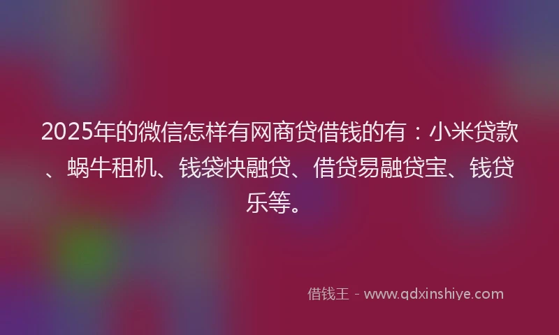 2025年的微信怎样有网商贷借钱的有：小米贷款、蜗牛租机、钱袋快融贷、借贷易融贷宝、钱贷乐等。