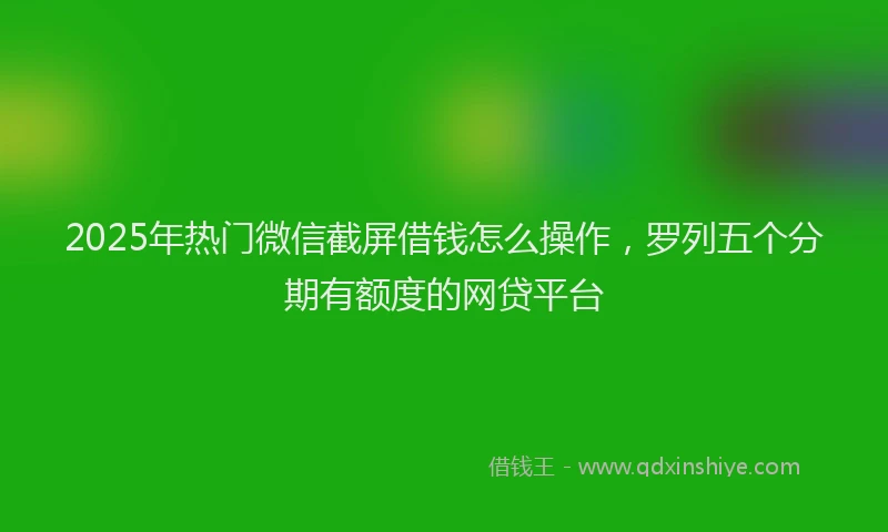 2025年热门微信截屏借钱怎么操作，罗列五个分期有额度的网贷平台