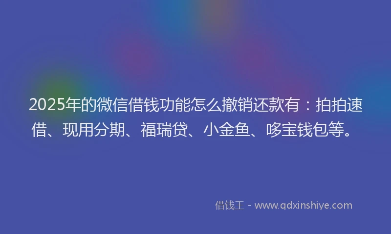 2025年的微信借钱功能怎么撤销还款有：拍拍速借、现用分期、福瑞贷、小金鱼、哆宝钱包等。