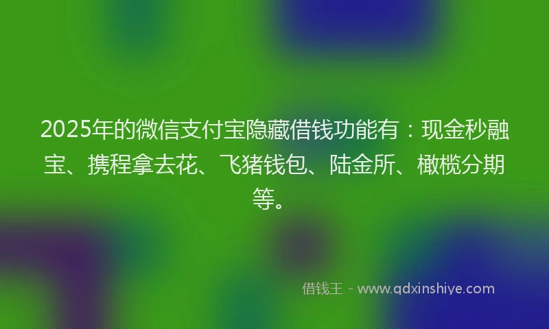 2025年的微信支付宝隐藏借钱功能有：现金秒融宝、携程拿去花、飞猪钱包、陆金所、橄榄分期等。