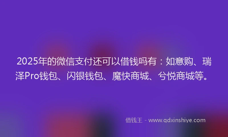 2025年的微信支付还可以借钱吗有：如意购、瑞泽Pro钱包、闪银钱包、魔快商城、兮悦商城等。