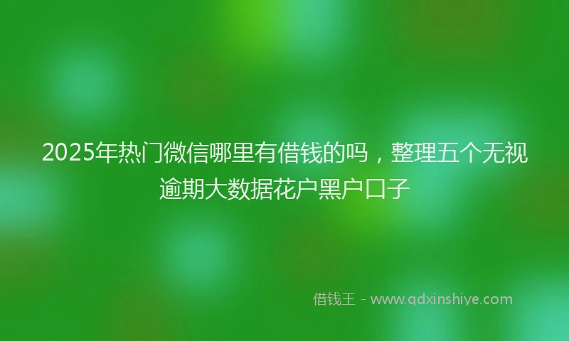 2025年热门微信哪里有借钱的吗，整理五个无视逾期大数据花户黑户口子