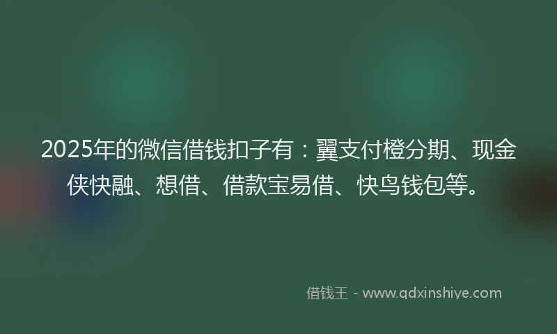 2025年的微信借钱扣子有：翼支付橙分期、现金侠快融、想借、借款宝易借、快鸟钱包等。