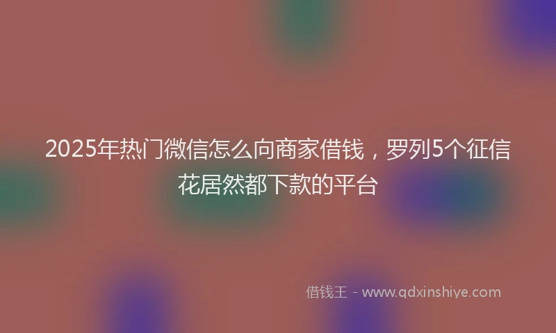 2025年热门微信怎么向商家借钱，罗列5个征信花居然都下款的平台