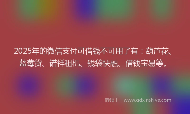 2025年的微信支付可借钱不可用了有：葫芦花、蓝莓贷、诺祥租机、钱袋快融、借钱宝易等。