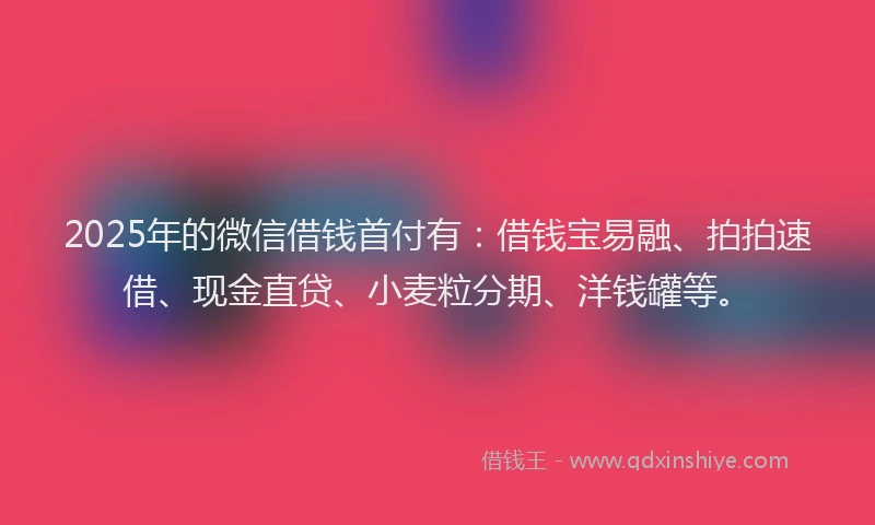 2025年的微信借钱首付有：借钱宝易融、拍拍速借、现金直贷、小麦粒分期、洋钱罐等。