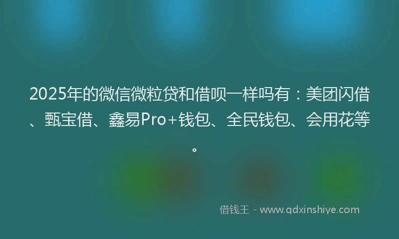 2025年的微信微粒贷和借呗一样吗有：美团闪借、甄宝借、鑫易Pro+钱包、全民钱包、会用花等。