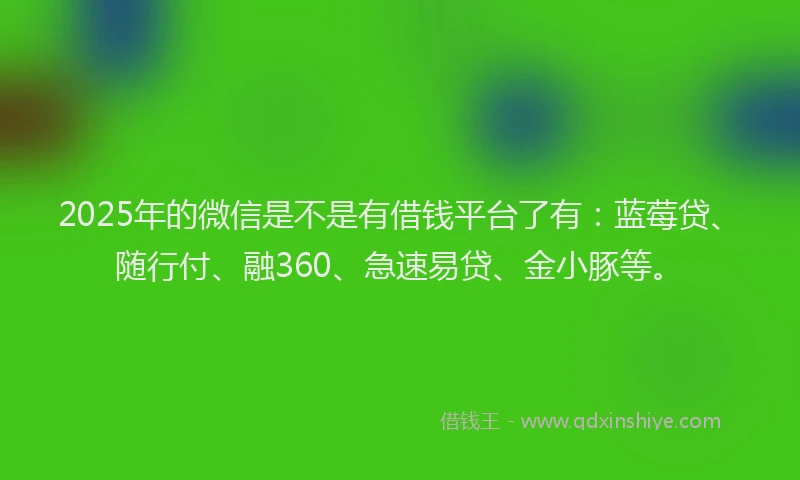 2025年的微信是不是有借钱平台了有：蓝莓贷、随行付、融360、急速易贷、金小豚等。