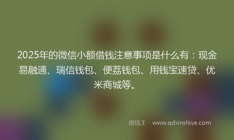 2025年的微信小额借钱注意事项是什么有：现金易融通、瑞信钱包、便荔钱包、用钱宝速贷、优米商城等。