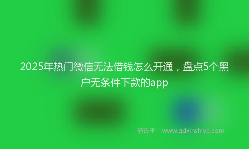 2025年热门微信无法借钱怎么开通，盘点5个黑户无条件下款的app
