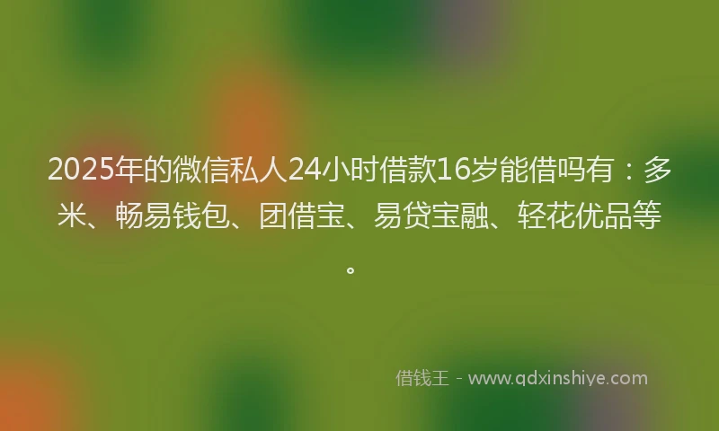2025年的微信私人24小时借款16岁能借吗有：多米、畅易钱包、团借宝、易贷宝融、轻花优品等。