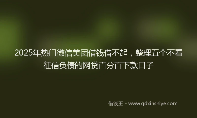 2025年热门微信美团借钱借不起，整理五个不看征信负债的网贷百分百下款口子