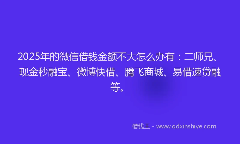 2025年的微信借钱金额不大怎么办有：二师兄、现金秒融宝、微博快借、腾飞商城、易借速贷融等。
