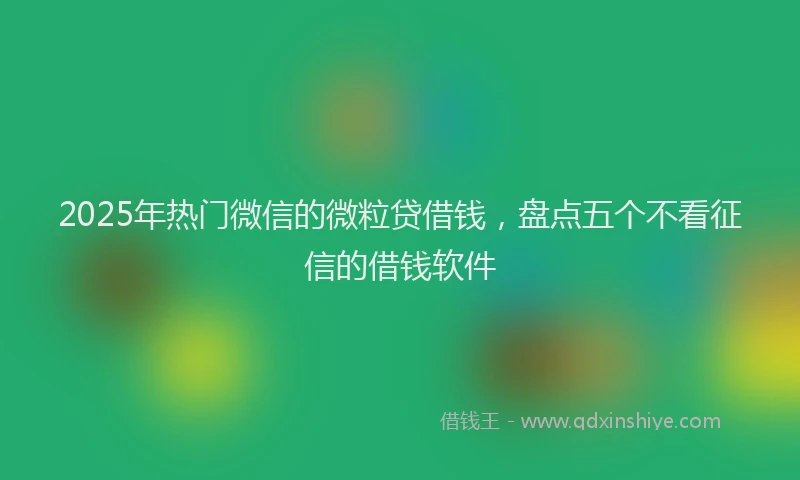 2025年热门微信的微粒贷借钱，盘点五个不看征信的借钱软件