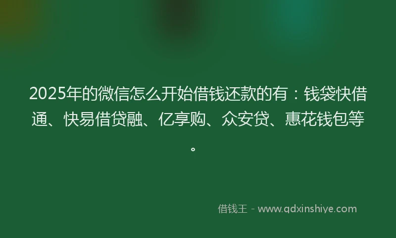 2025年的微信怎么开始借钱还款的有：钱袋快借通、快易借贷融、亿享购、众安贷、惠花钱包等。