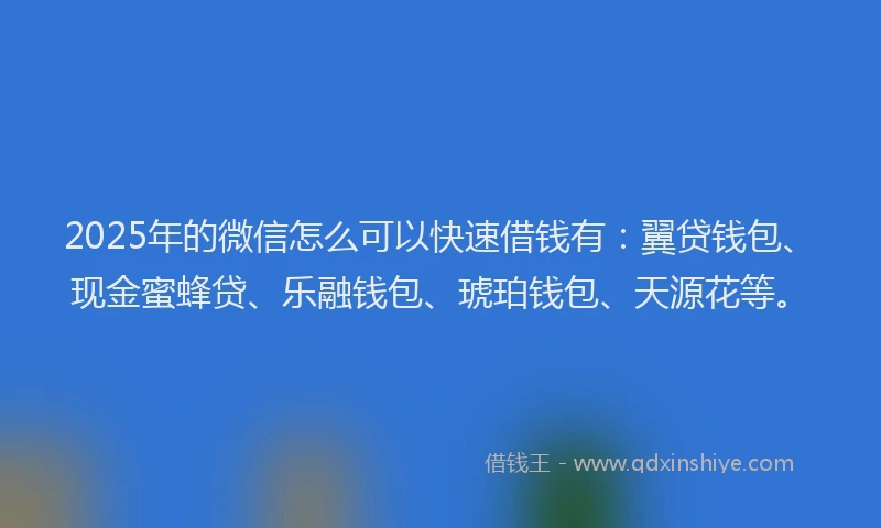 2025年的微信怎么可以快速借钱有：翼贷钱包、现金蜜蜂贷、乐融钱包、琥珀钱包、天源花等。