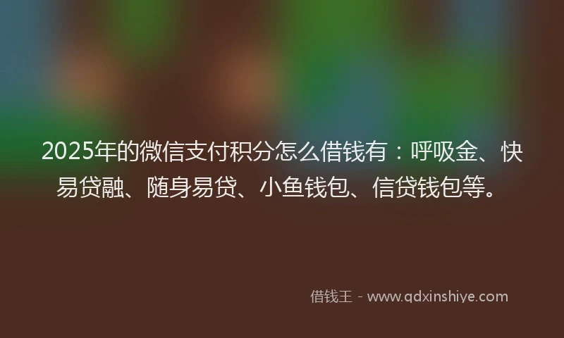 2025年的微信支付积分怎么借钱有：呼吸金、快易贷融、随身易贷、小鱼钱包、信贷钱包等。