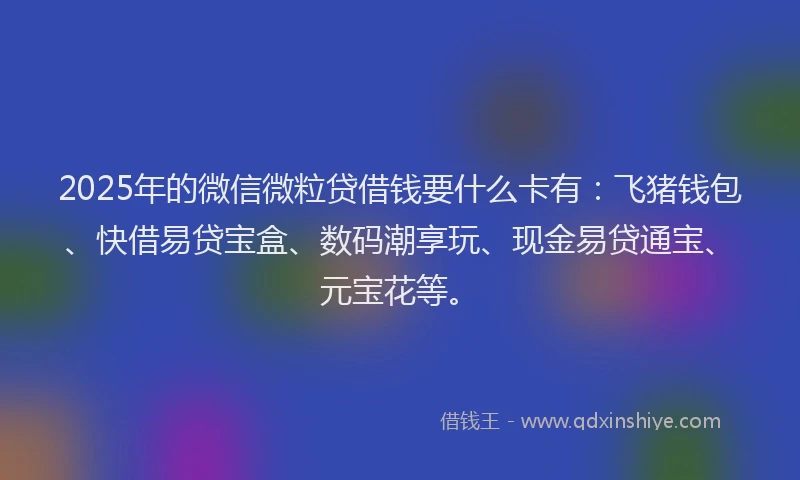 2025年的微信微粒贷借钱要什么卡有：飞猪钱包、快借易贷宝盒、数码潮享玩、现金易贷通宝、元宝花等。