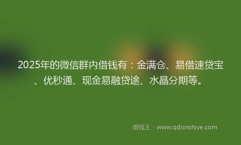 2025年的微信群内借钱有：金满仓、易借速贷宝、优秒通、现金易融贷途、水晶分期等。