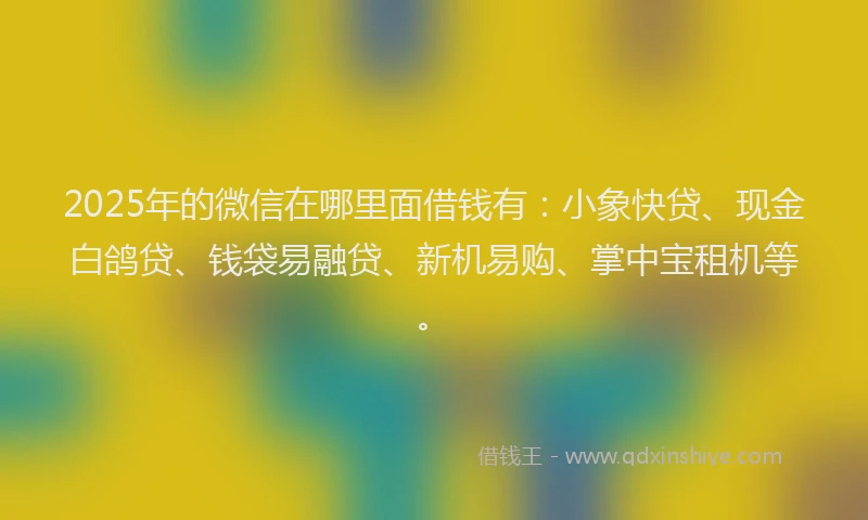 2025年的微信在哪里面借钱有：小象快贷、现金白鸽贷、钱袋易融贷、新机易购、掌中宝租机等。