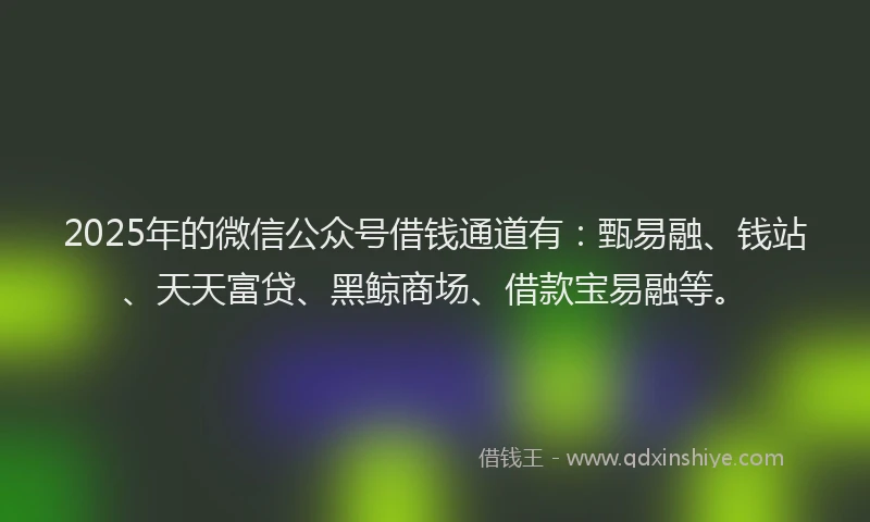 2025年的微信公众号借钱通道有：甄易融、钱站、天天富贷、黑鲸商场、借款宝易融等。