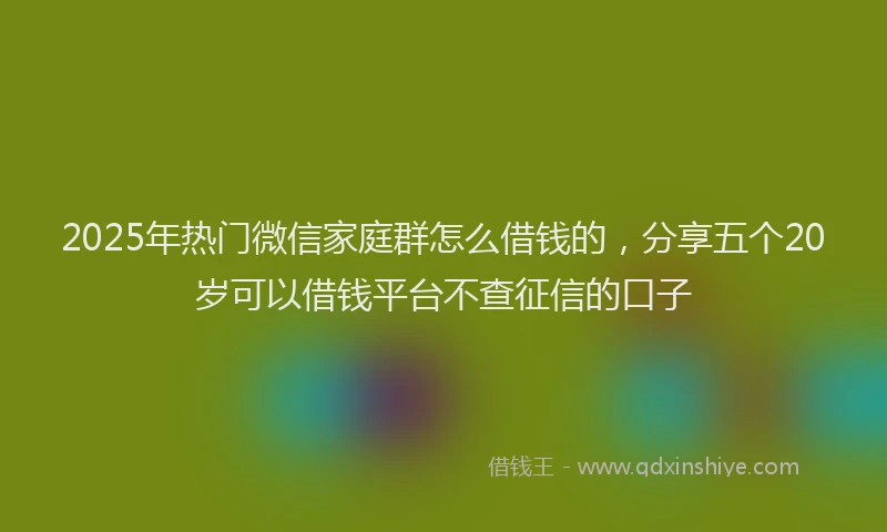 2025年热门微信家庭群怎么借钱的，分享五个20岁可以借钱平台不查征信的口子