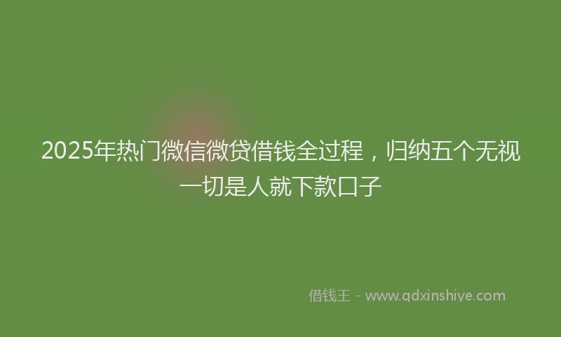 2025年热门微信微贷借钱全过程，归纳五个无视一切是人就下款口子