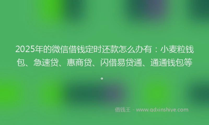 2025年的微信借钱定时还款怎么办有：小麦粒钱包、急速贷、惠商贷、闪借易贷通、通通钱包等。