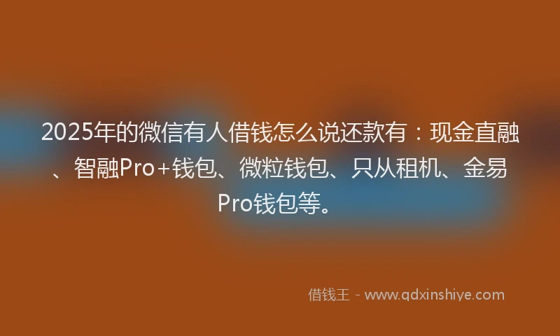 2025年的微信有人借钱怎么说还款有：现金直融、智融Pro+钱包、微粒钱包、只从租机、金易Pro钱包等。