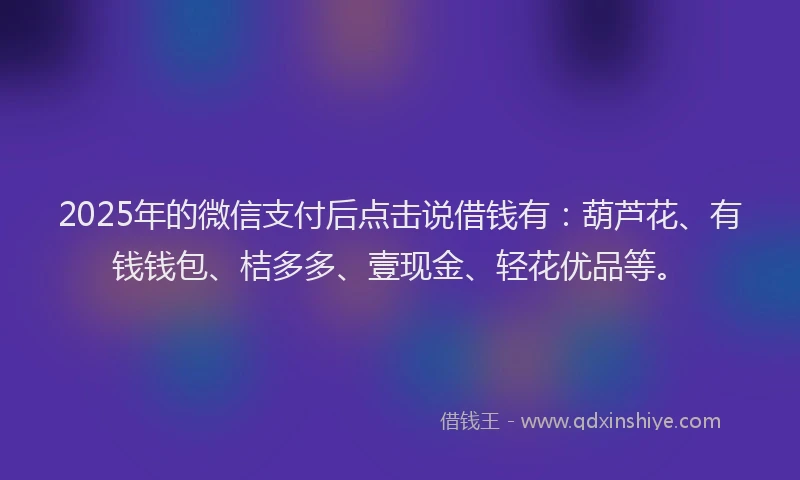 2025年的微信支付后点击说借钱有：葫芦花、有钱钱包、桔多多、壹现金、轻花优品等。