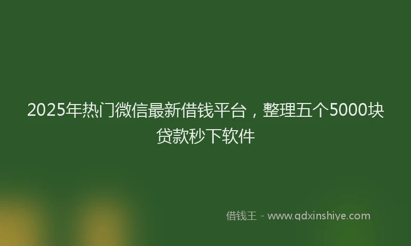 2025年热门微信最新借钱平台，整理五个5000块贷款秒下软件