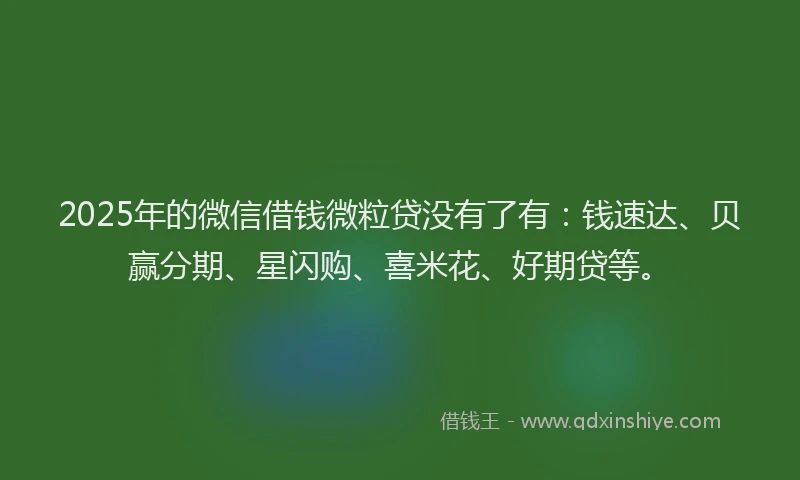 2025年的微信借钱微粒贷没有了有：钱速达、贝赢分期、星闪购、喜米花、好期贷等。