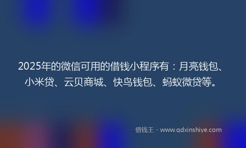 2025年的微信可用的借钱小程序有：月亮钱包、小米贷、云贝商城、快鸟钱包、蚂蚁微贷等。