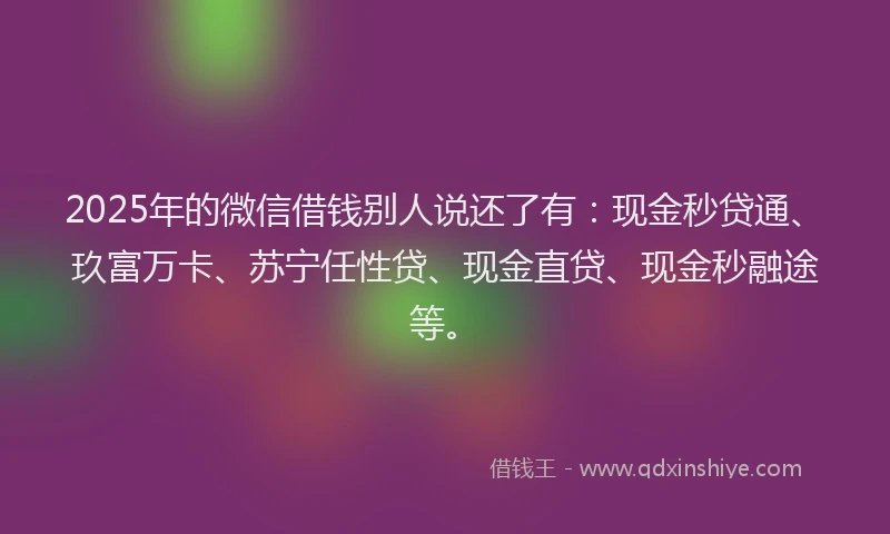 2025年的微信借钱别人说还了有：现金秒贷通、玖富万卡、苏宁任性贷、现金直贷、现金秒融途等。