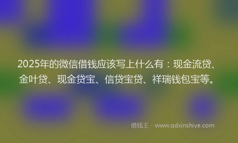 2025年的微信借钱应该写上什么有：现金流贷、金叶贷、现金贷宝、信贷宝贷、祥瑞钱包宝等。
