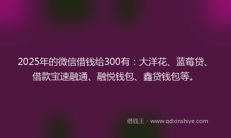 2025年的微信借钱给300有：大洋花、蓝莓贷、借款宝速融通、融悦钱包、鑫贷钱包等。