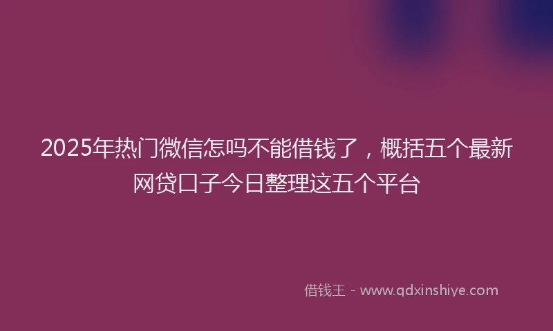 2025年热门微信怎吗不能借钱了，概括五个最新网贷口子今日整理这五个平台