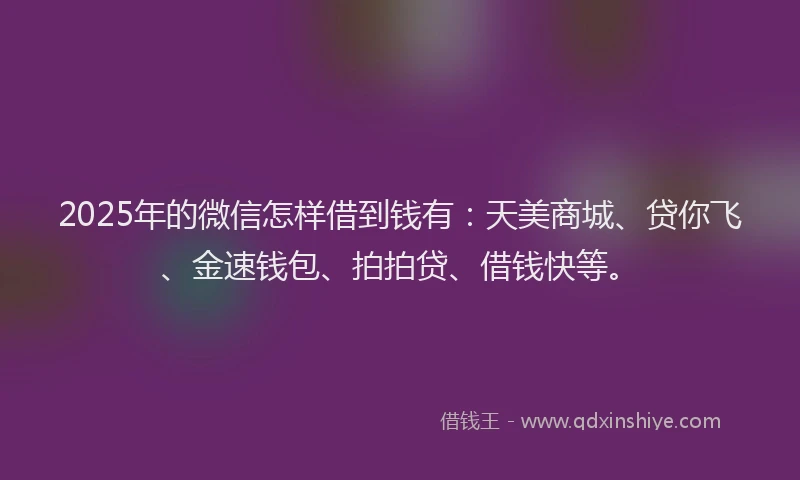 2025年的微信怎样借到钱有：天美商城、贷你飞、金速钱包、拍拍贷、借钱快等。
