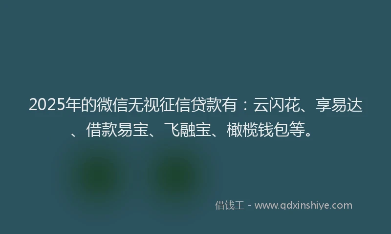 2025年的微信无视征信贷款有：云闪花、享易达、借款易宝、飞融宝、橄榄钱包等。
