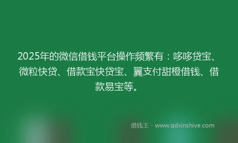 2025年的微信借钱平台操作频繁有：哆哆贷宝、微粒快贷、借款宝快贷宝、翼支付甜橙借钱、借款易宝等。