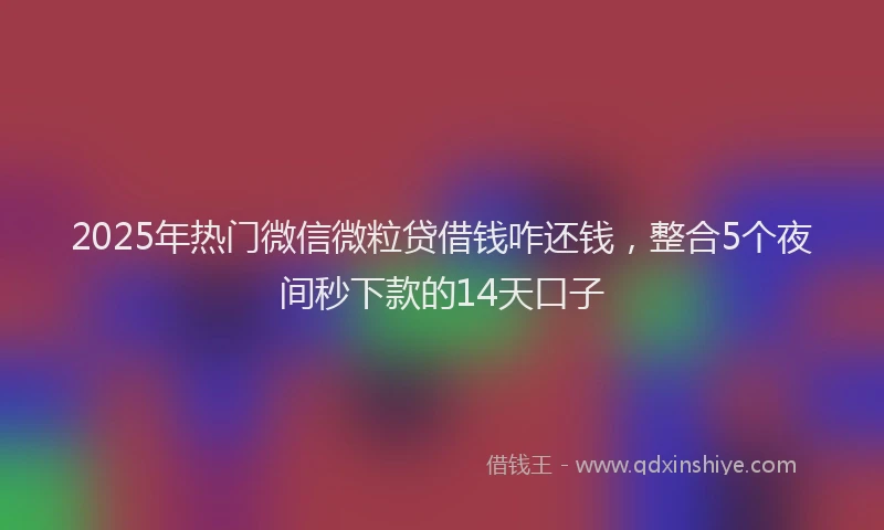 2025年热门微信微粒贷借钱咋还钱，整合5个夜间秒下款的14天口子